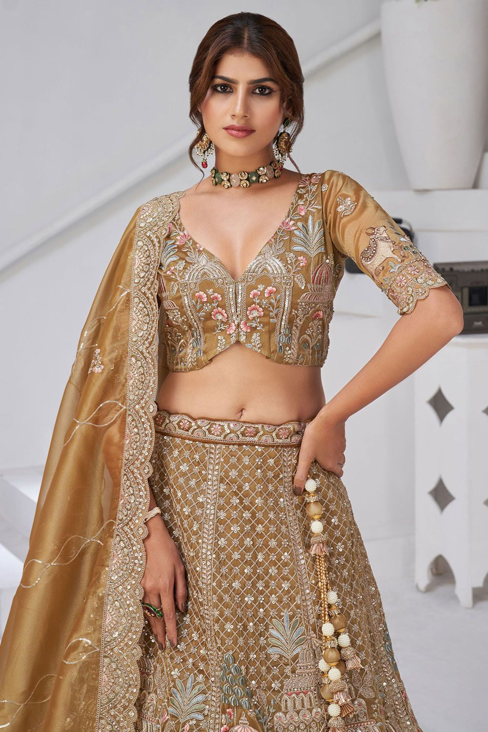Brown Organza Lehenga Choli - SFRELS6524