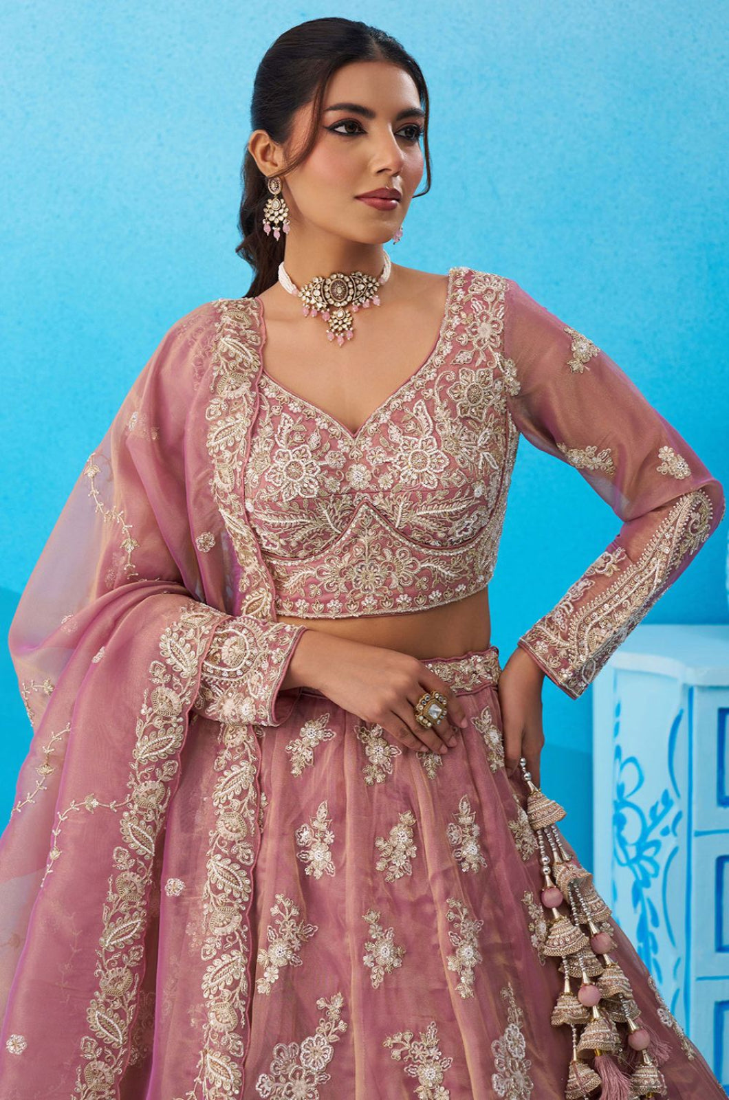 Pink Tissue Lehenga Choli - SFROY571811