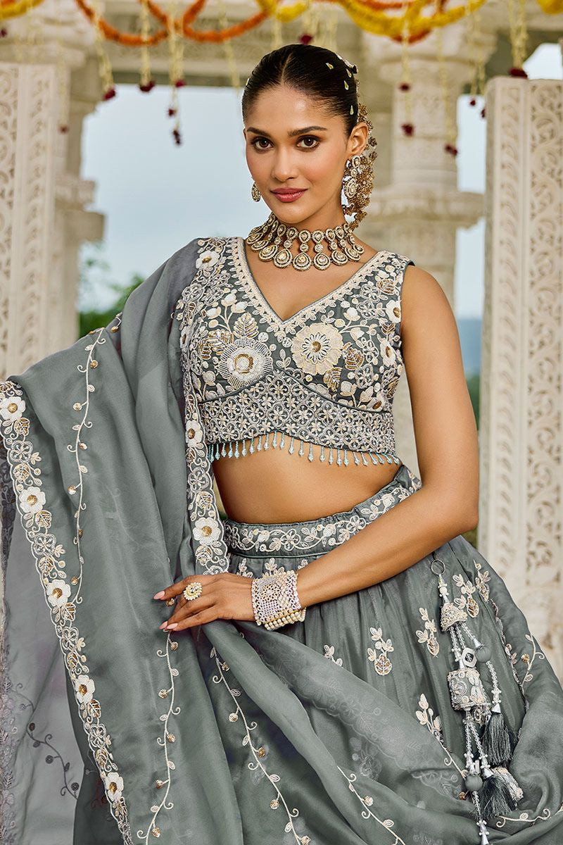 Grey Organza Lehenga Choli - SFPRF261501R