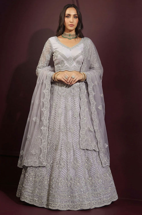 Grey Net Lehenga Choli - SFSA572904