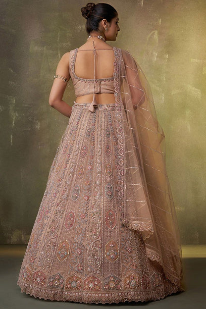 Beige Net Lehenga Choli - SFROY565712