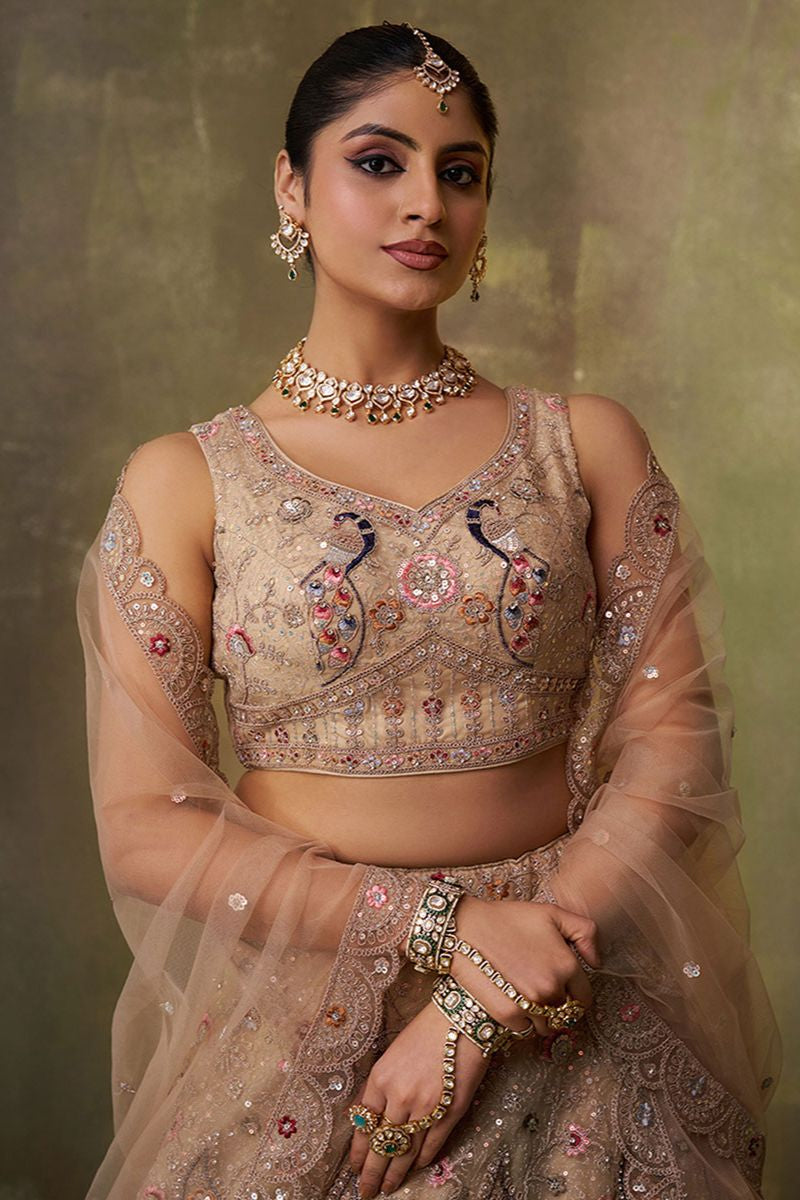 Beige Net Lehenga Choli - SFROY565719