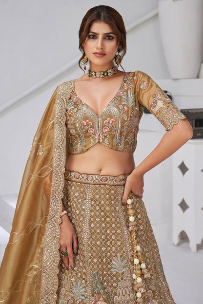Brown Organza Lehenga Choli - SFRELS6524