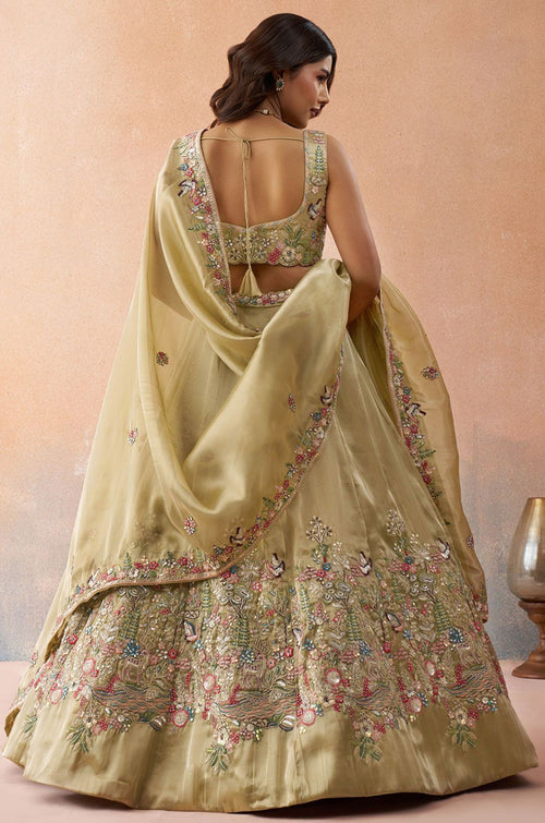 Beige Tissue Lehenga Choli - SFROY571718