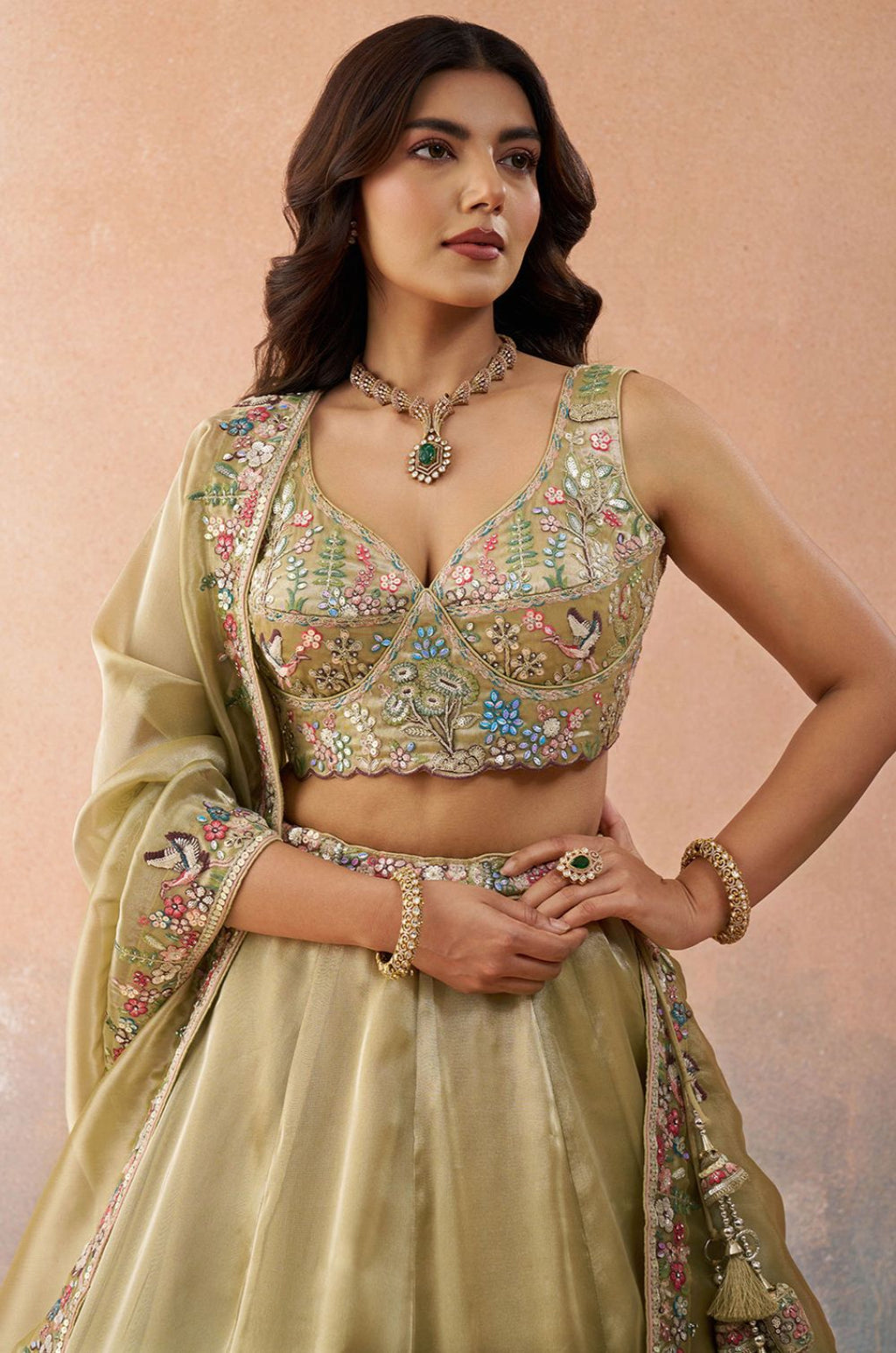 Beige Tissue Lehenga Choli - SFROY571718