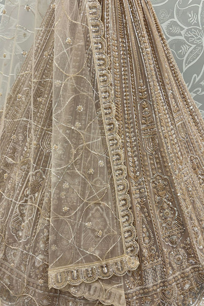 Beige Net Lehenga Choli - SFANJ3134