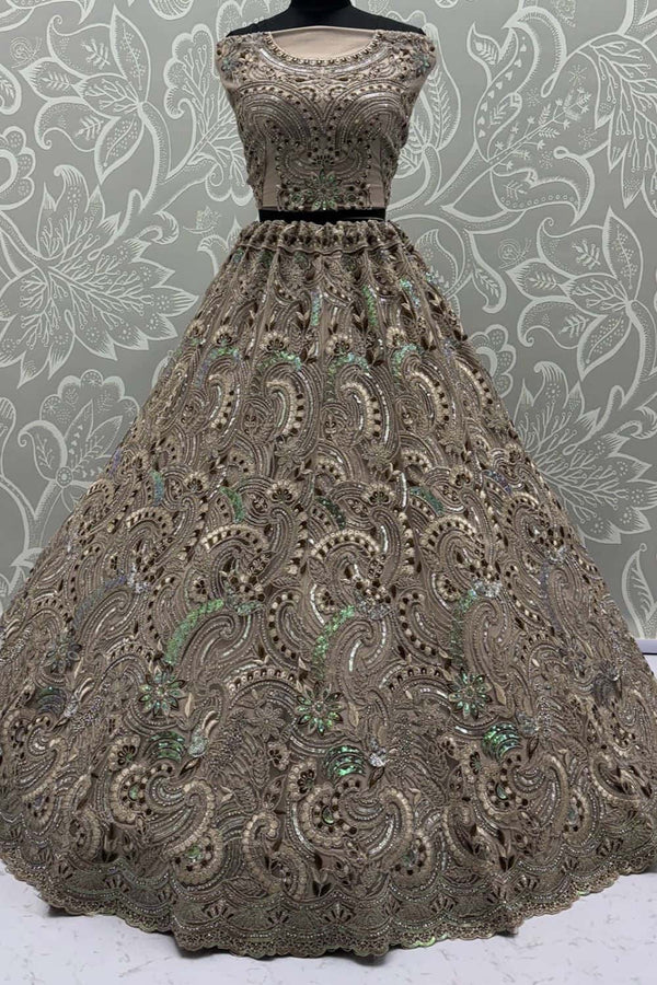 Beige Net Lehenga Choli - SFANJ3137