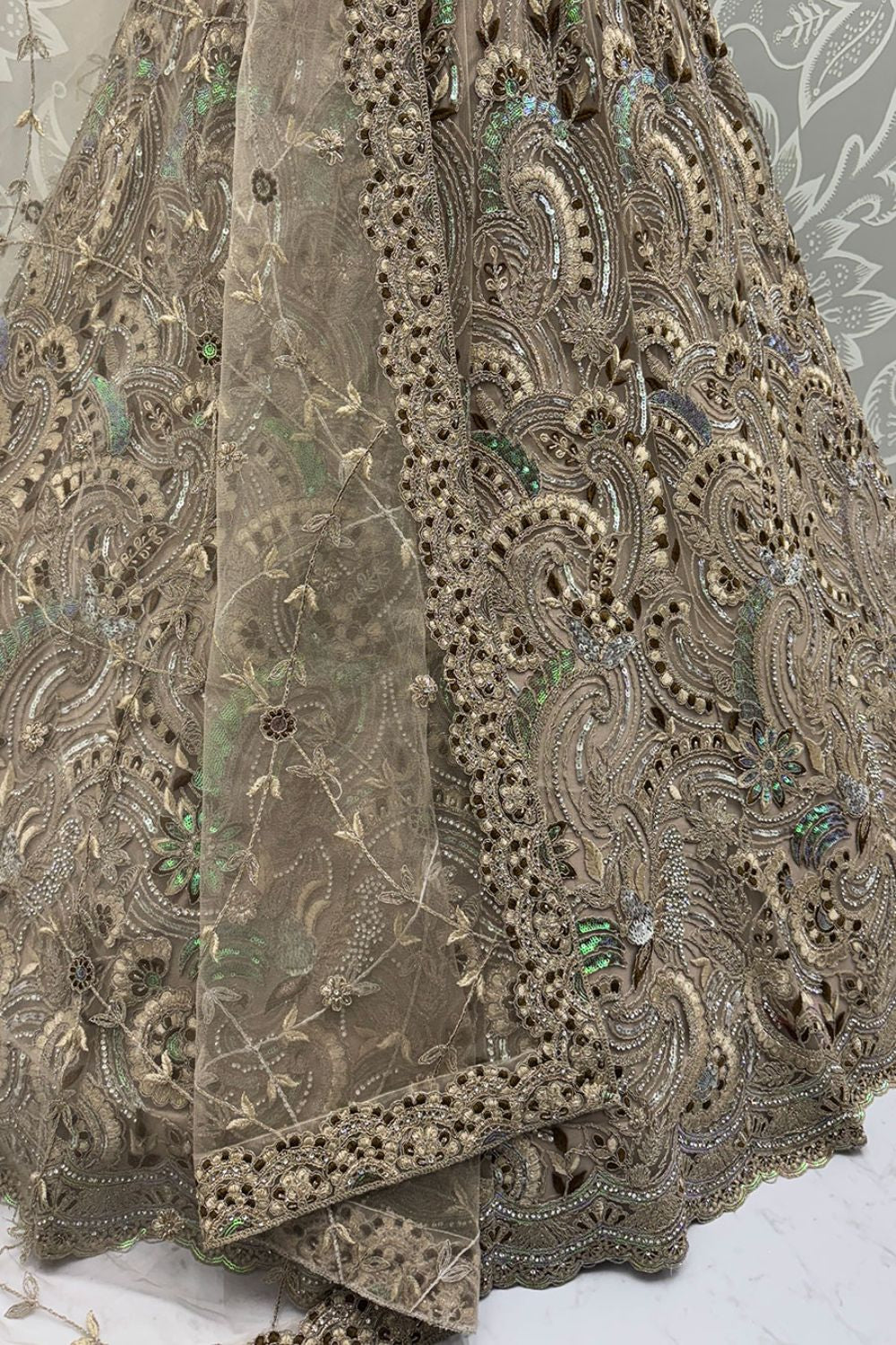 Beige Net Lehenga Choli - SFANJ3137
