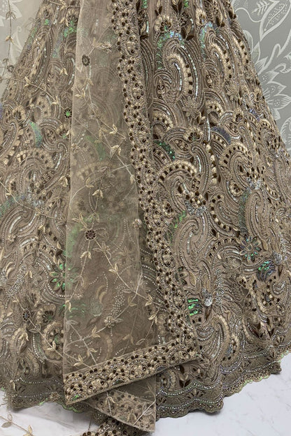 Beige Net Lehenga Choli - SFANJ3137
