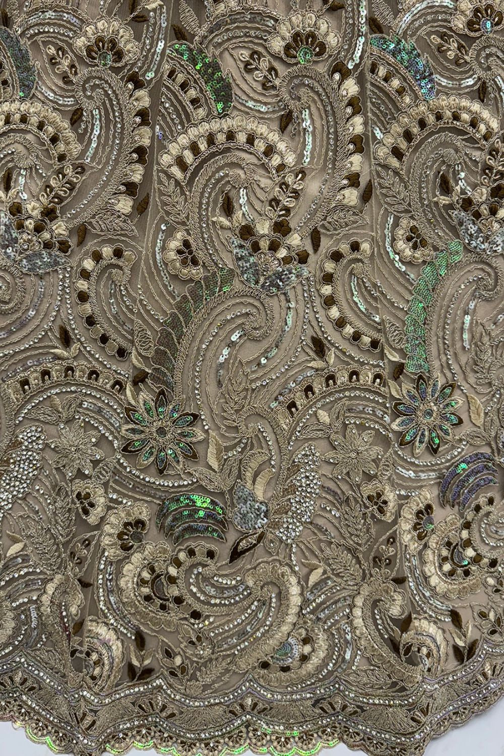 Beige Net Lehenga Choli - SFANJ3137