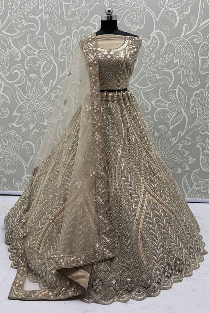Beige Net Lehenga Choli - SFANJ3191