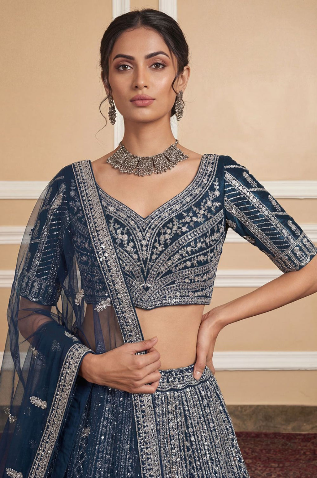 Blue Net Lehenga Choli - SFANJ3251