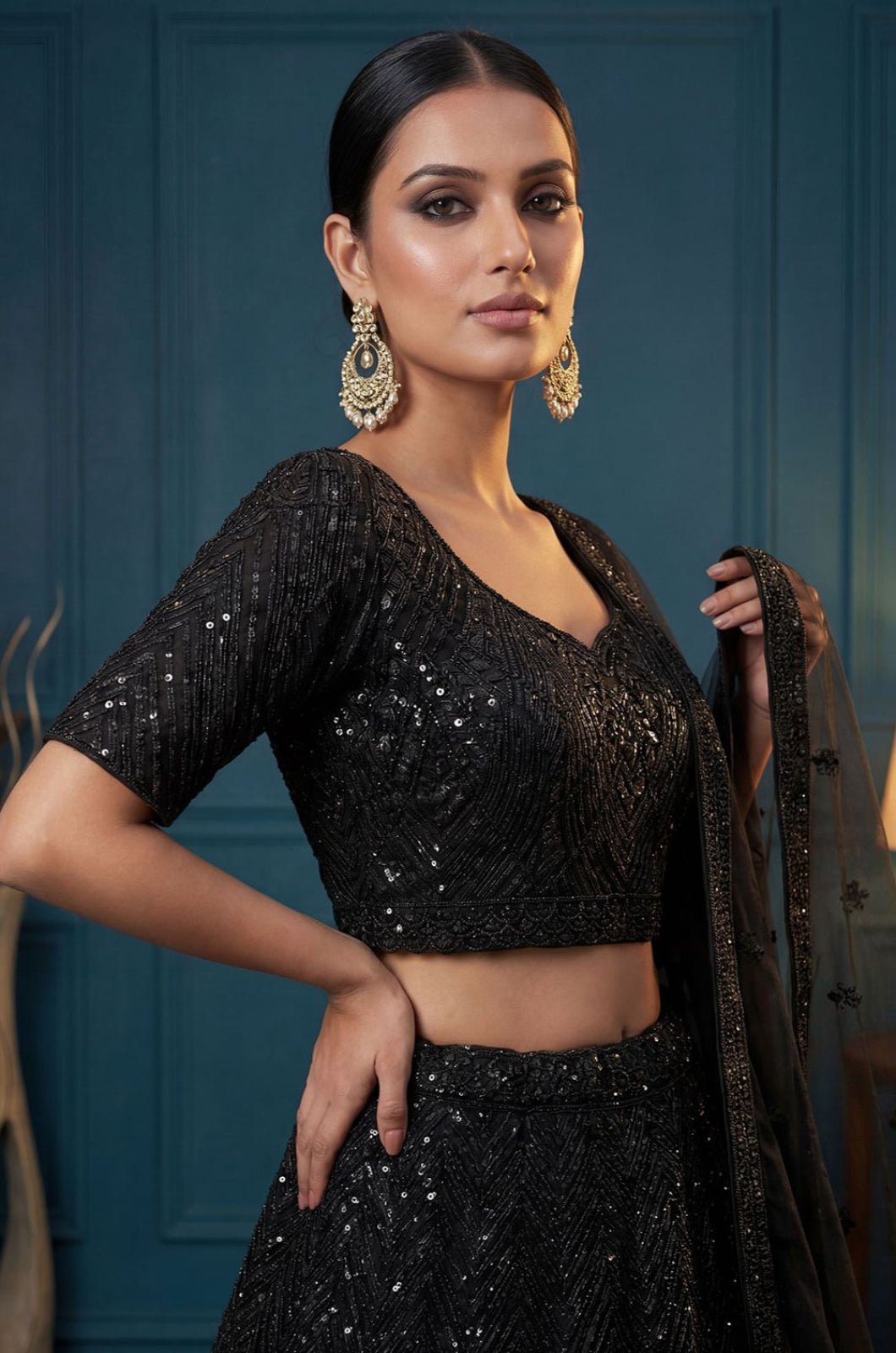 Black Net Lehenga Choli - SFANJ3287
