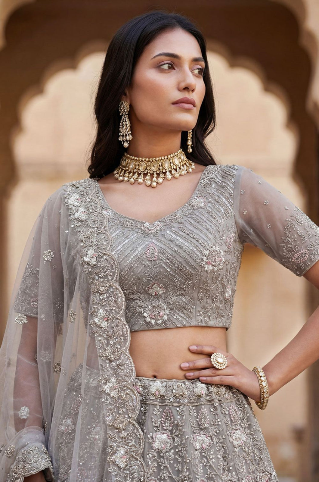 Grey Net Lehenga Choli - SFANJ3276