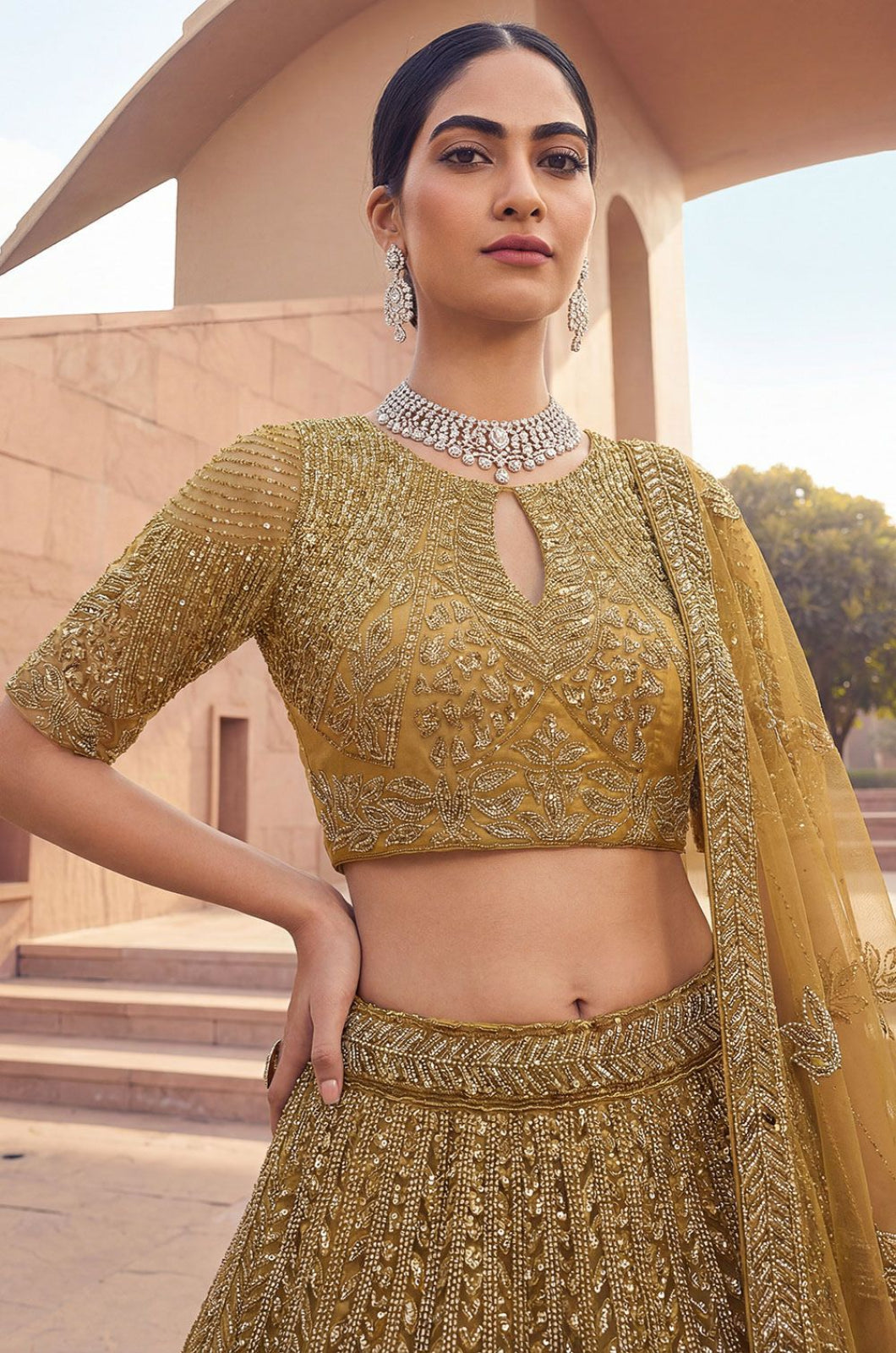 Golden Net Lehenga Choli - SFANJ3299