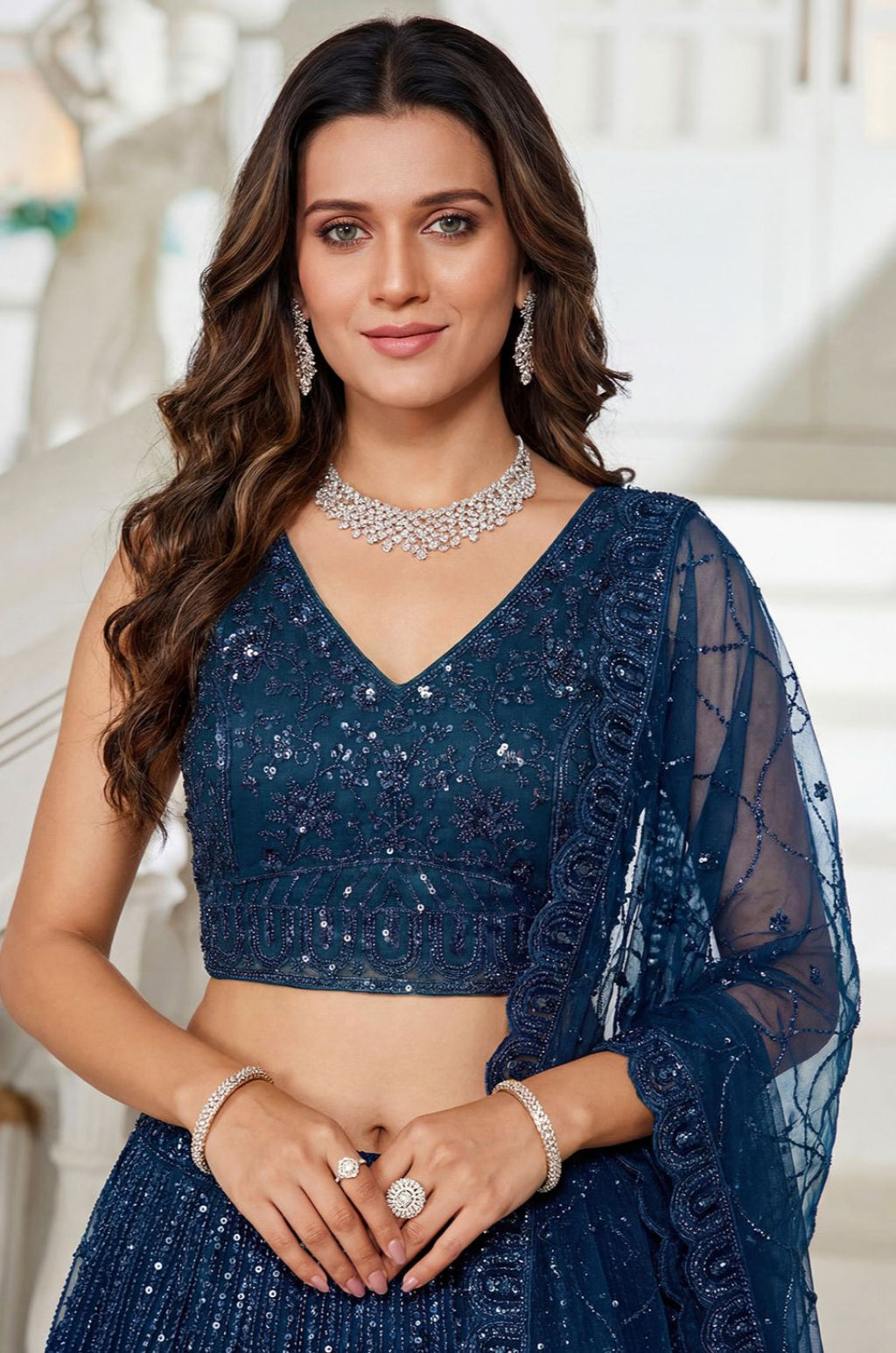 Blue Net Lehenga Choli - SFANJ3301