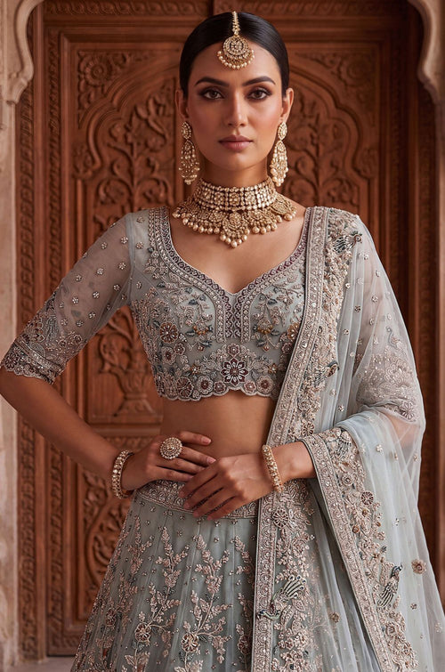 Blue Net Lehenga Choli - SFANJ3433
