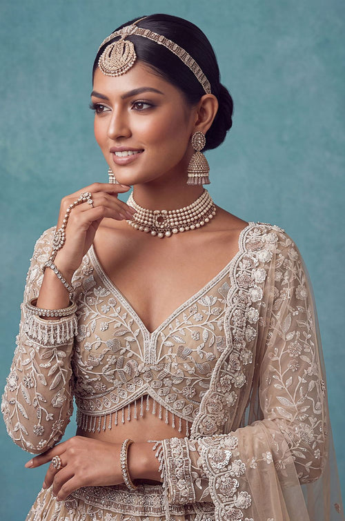 Beige Net Lehenga Choli - SFANJ3462R