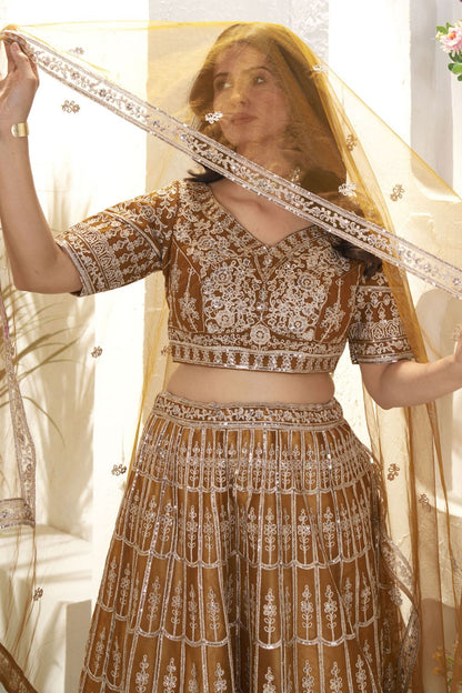 Brown Net Lehenga Choli With Zari And Resham Work  SFRELS3810
