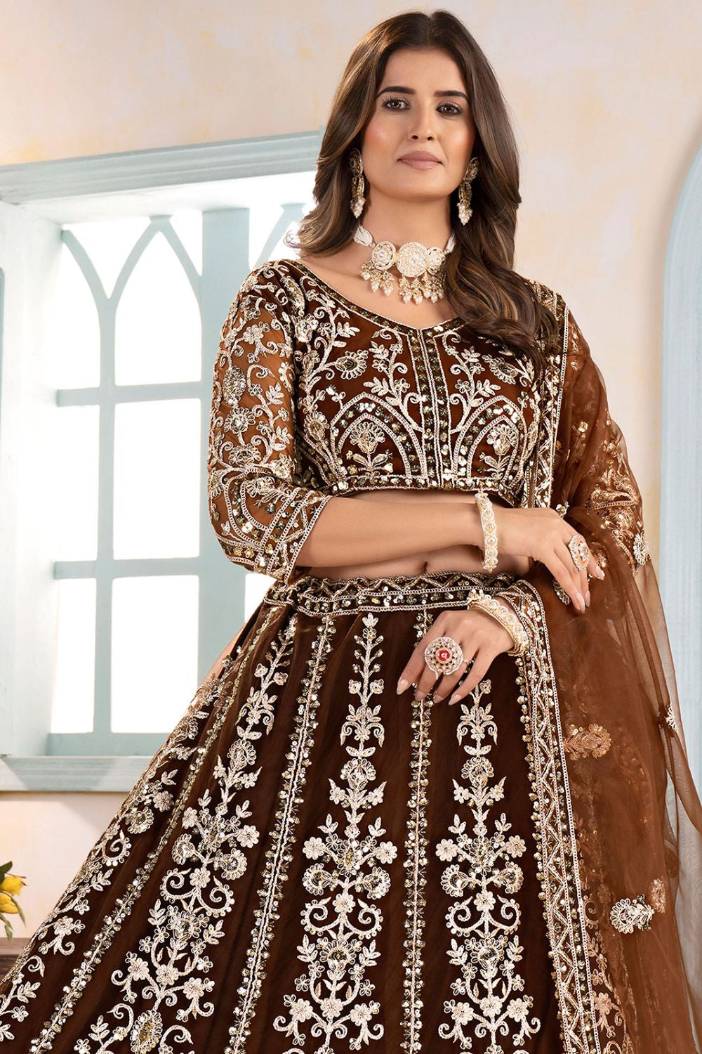 Brown Net Lehenga Choli - SFRELS5608