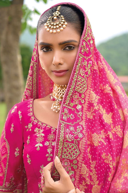 Rani Bridal Sangeet Silk Lehenga Choli Set SFSJDN25204