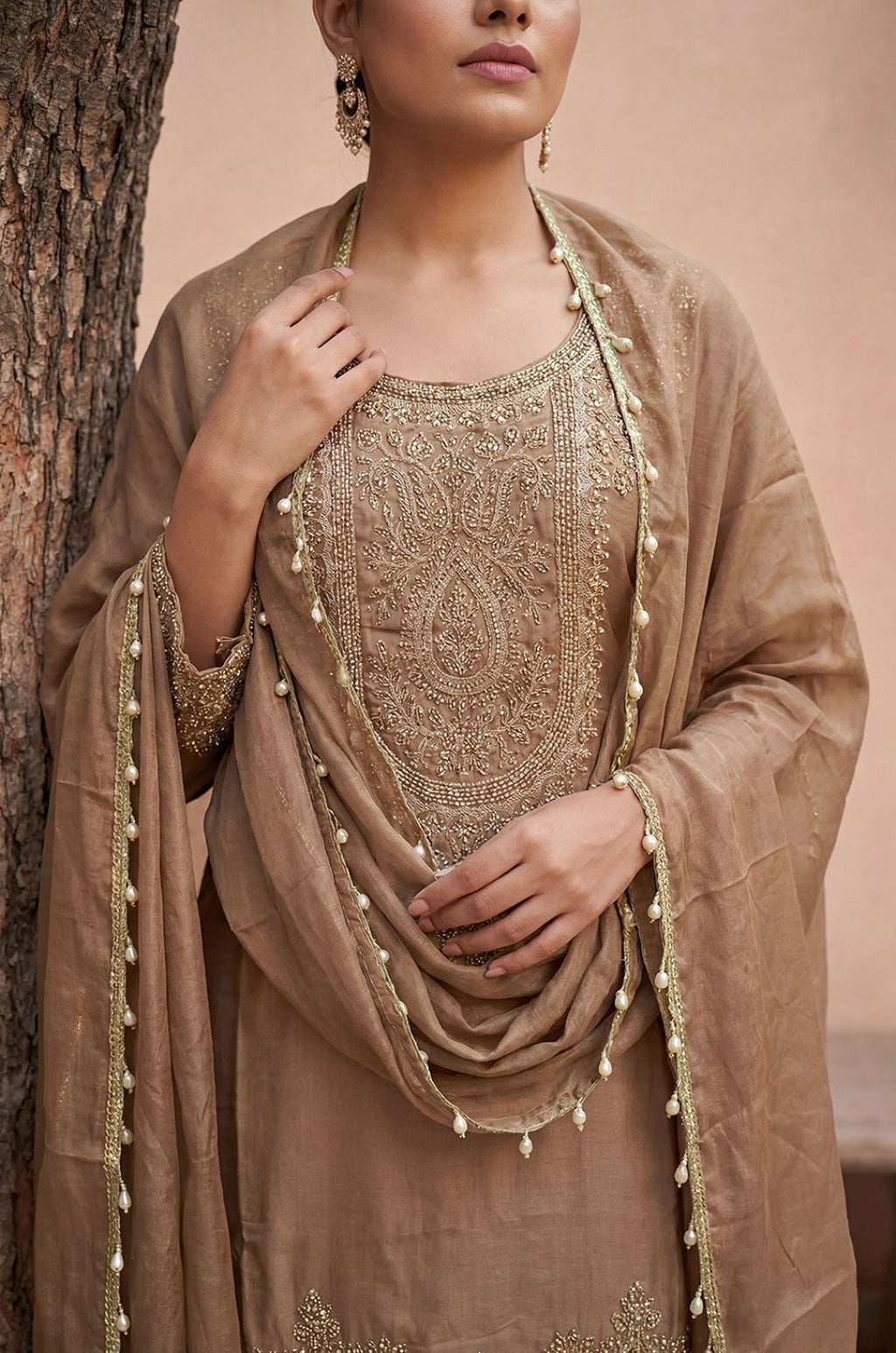 Beige Tissue Salwar Kameez - SFPRF281102R
