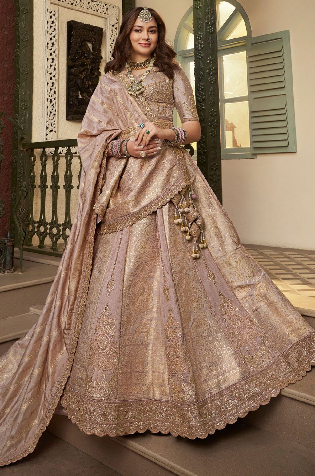 Beige Banarasi Lehenga Choli - SFSA522201