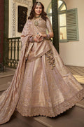 Beige Banarasi Lehenga Choli - SFSA522201