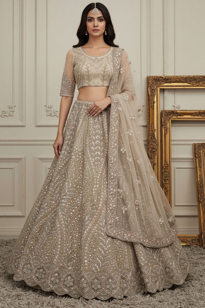 Beige Net Lehenga Choli - SFANJ3191