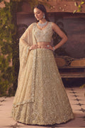 Beige Net Lehenga Choli - SFANJ3300