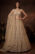 Beige Net Lehenga Choli - SFANJ3310