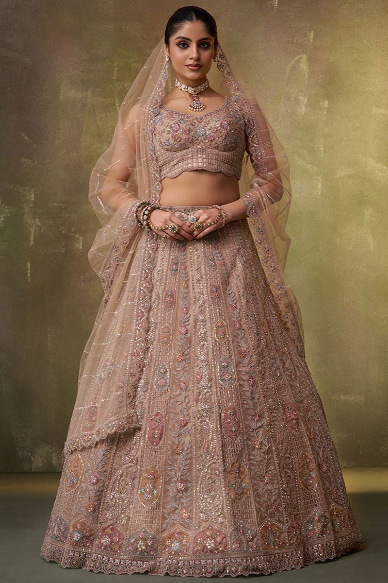 Beige Net Lehenga Choli - SFROY565712