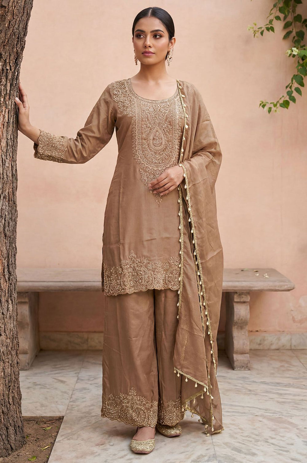 Beige Tissue Salwar Kameez - SFPRF281102R