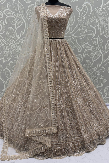 Beige Net Lehenga Choli - SFANJ3134
