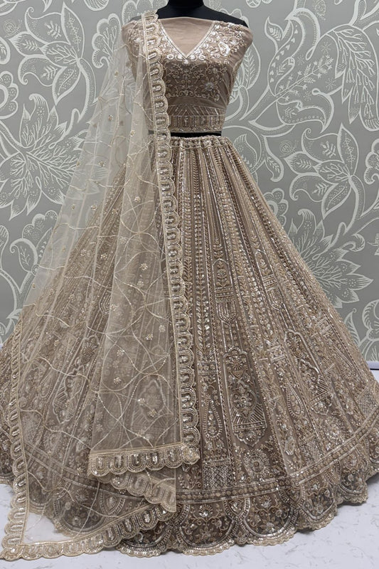 Beige Net Lehenga Choli - SFANJ3134