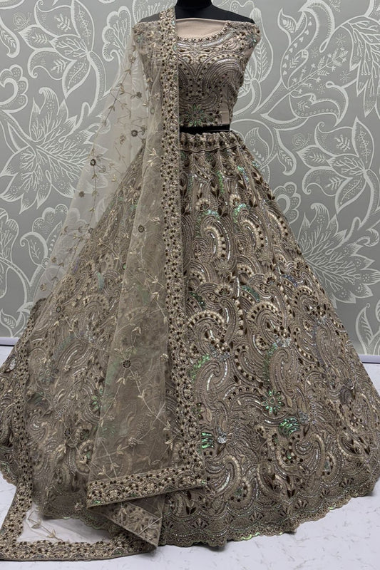 Beige Net Lehenga Choli - SFANJ3137