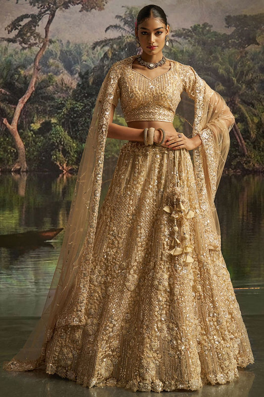 Beige Net Lehenga Choli  SFARY22803