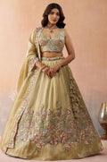 Beige Tissue Lehenga Choli - SFROY571718