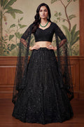 Black Net Lehenga Choli - SFANJ3259