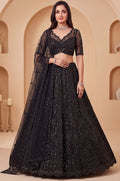 Black Net Lehenga Choli - SFANJ3458