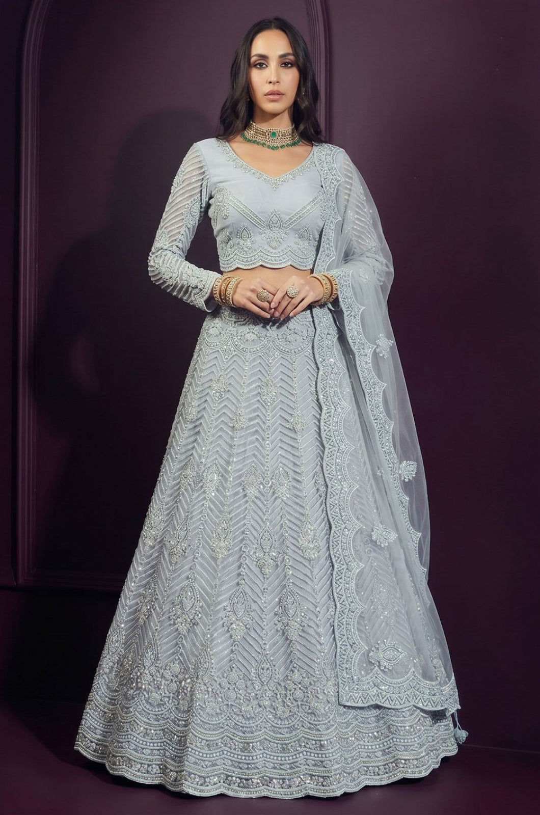 Blue Net Lehenga Choli - SFSA572905