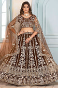 Brown Net Lehenga Choli - SFRELS5608