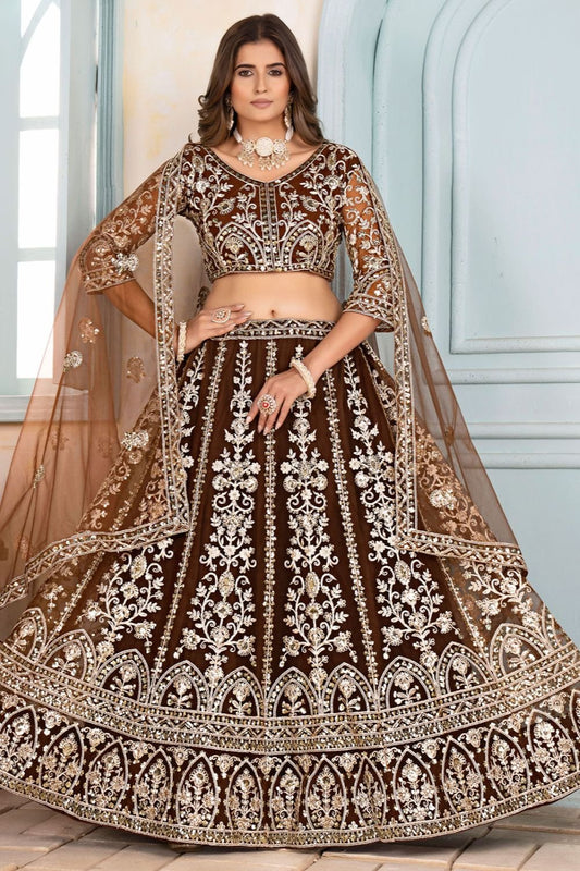 Brown Net Lehenga Choli - SFRELS5608