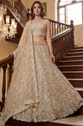 Cream Net Lehenga Choli - SFANJ3283