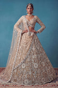 Beige Net Lehenga Choli - SFANJ3462R