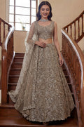 Beige Net Lehenga Choli - SFANJ3280