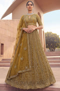 Golden Net Lehenga Choli - SFANJ3299