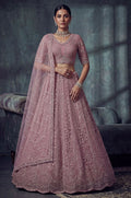 Pink Net Lehenga Choli - SFANJ3427