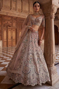 Pink Net Lehenga Choli - SFANJ3432