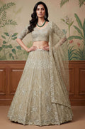 Golden Net Lehenga Choli - SFANJ3258